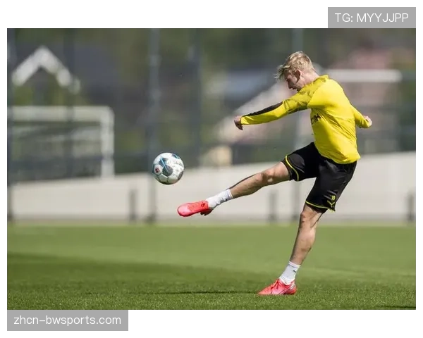 多特蒙德主场上座率持续领先，鲁尔区球迷文化深厚